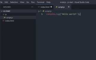 Что можно сделать с javascript