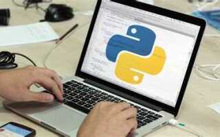 Как стать разработчиком python