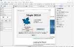 Как активировать maple 2021