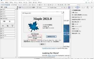 Как активировать maple 2021