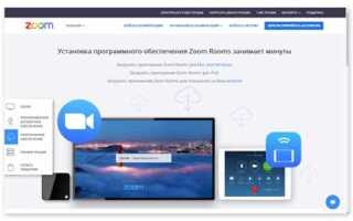 Как провести урок в zoom