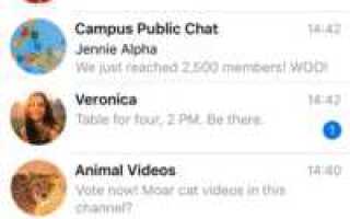 Куда сохраняются gif из telegram