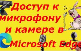 Как разрешить zoom доступ к микрофону