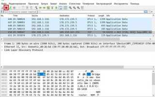 Как узнать ip через wireshark discord