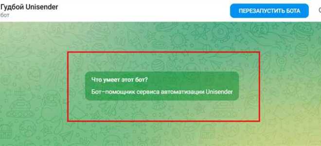 Как добавить бота в диалог telegram