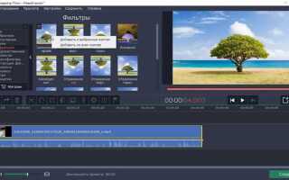 Как убрать черный фон на видео в movavi