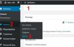 Как прописать мета теги в wordpress