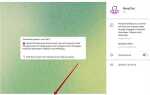 Как пожаловаться на бота в telegram