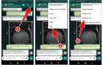 Как переслать сообщение из whatsapp в viber