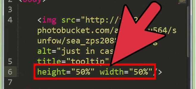 Как добавить картинку в input html