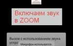Как выключить звук учителя в zoom