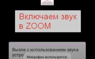 Как выключить звук учителя в zoom