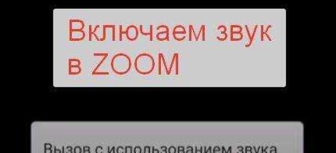 Как выключить звук учителя в zoom