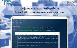 Как я выучил python
