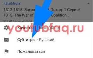 Как настроить субтитры в zoom