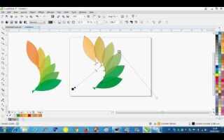 Как создать векторное изображение в coreldraw