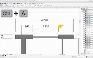 Как задать размер в coreldraw