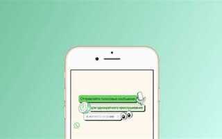 Как записывать голосовые сообщения в whatsapp