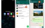 Как отправить гифку в whatsapp