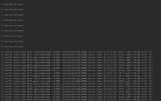 Как написать ддос программу python
