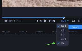 Как работать с movavi video editor