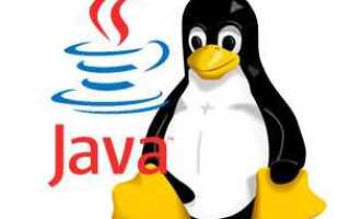 Где лежит java linux