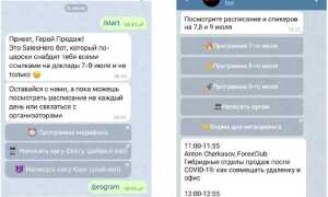 Как получить чат id telegram bot