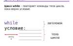Как использовать while в python