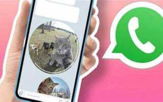 Как отправить полное видео в whatsapp через айфон