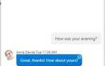Что такое skype web control