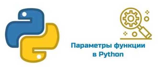 Как сделать необязательный параметр в функции в python
