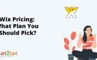 Сколько стоит премиум план на wix