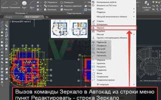 Как отзеркалить в автокаде