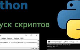 Как завершить скрипт python
