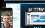 Что такое skype for business