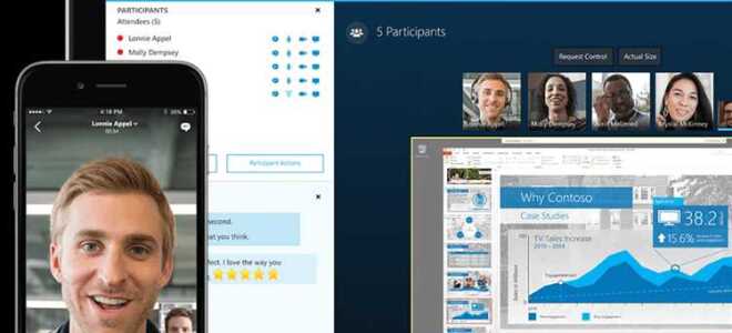 Что такое skype for business