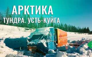 Как мы камазы в китай гоняли