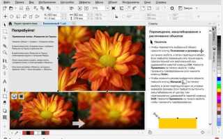 Как пользоваться программой coreldraw 2020