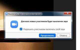 Как включить аудио в zoom