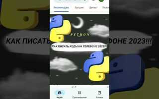 Как правильно писать код на python