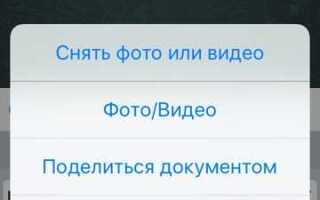 Какой размер файла можно отправить по whatsapp