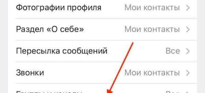 Как запретить голосовые сообщения в telegram