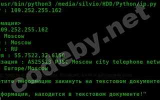 Как узнать ip python