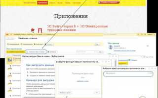 Как загрузить базу в 1с фреш