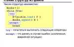 Как замедлить цикл while python