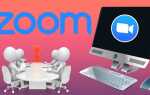 Как проводить видеоконференции в zoom