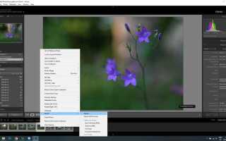 Как найти повторяющиеся фотографии в adobe lightroom