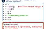 Что такое int input в python