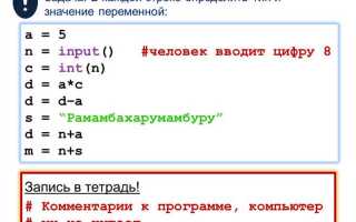 Что такое int input в python