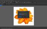 Как убрать обводку в coreldraw